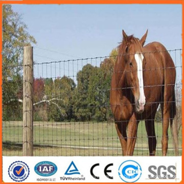 ISO 9001 certificado profissional galvanizado galvanizado cercas de cercas / cercas de animais (Anping preço baixo)